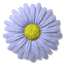 042.gif