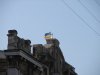 DSC08178.JPG