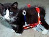 post_13_1045478808.jpg
