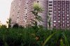 mj_yasenevo1.jpg