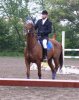 horse01.jpg