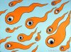 Emryonic_Eyes.jpg