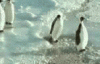 colleague.gif