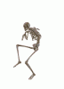 shkilet.gif