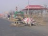 pic27446.jpg