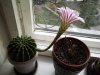 _________________19.08.05480.jpg