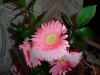 flower.jpg