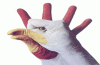 Slide9.gif