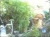 20060816_173643_829.jpg