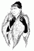 scan_6.gif