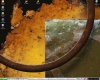 rost.jpg
