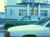 DSC01232.jpg