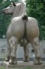 voroneg_horse.jpg