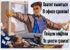 _Picture_file_path_17661.jpg