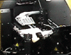 GoldAnimationCell2.gif