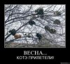 f_ea9c38884aadbd6cbf6dea35b4a8a0bb17a01dff.jpg