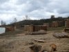 P1550365.JPG