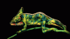 1428496986_optical_illusion_02.gif