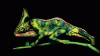 1428496948_optical_illusion_03.gif