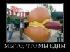1428560954_demotivatory_18.jpg