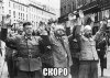 FB_IMG_1428932832918.jpg