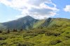 IMG_9472.JPG