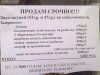 1432756075_podborka_75.jpg