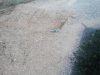 20150712131638.jpg