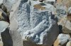 DSC_1813.JPG