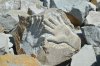 DSC_1819.JPG