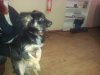 20151230_220616.jpg