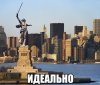 VI.jpg