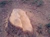__________160314_14.25.jpg