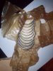 100_9737.JPG