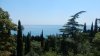 DSCN1209.JPG