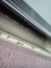 IMG_20160826_150423.jpg
