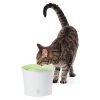 55600_katze_500x500.jpg