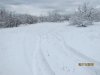 IMG_6370.JPG