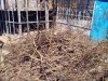 __________180314_11.40__01_.jpg