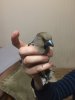 2017_04_27_20.47.26.JPG