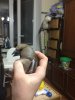 2017_04_27_20.47.01.JPG