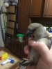 2017_04_27_20.47.14.JPG