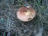 DSC00258.JPG