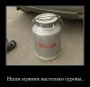 718d7e063c9a5.jpeg