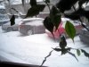 IMG_20180301_174710.jpg