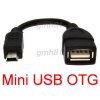 mini_usb_otg_ainol_novo_paladin_a10_mid_mars_tornado_elf_aurora_momo9_gmh81_1211_02_gmh81_7.jpg