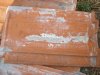 DSC01937.JPG