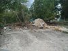 IMG_20180912_170944.jpg