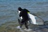 DSC_6077.JPG