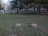 Simferopol_2019D__1_.JPG